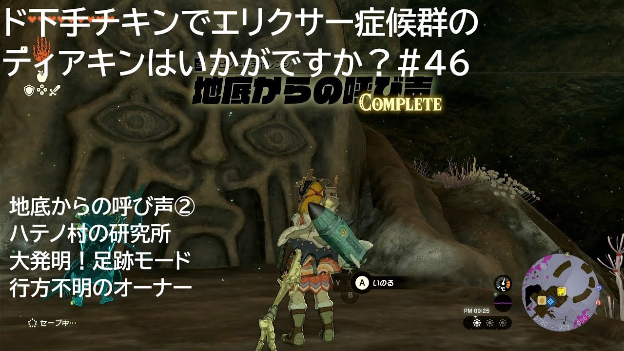 ド下手チキンでエリクサー症候群のティアキンはいかがですか？#46