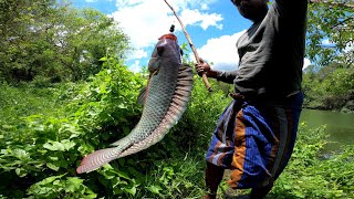 Big Fish Catching Best Hook Fishing In Village Sri Lanka