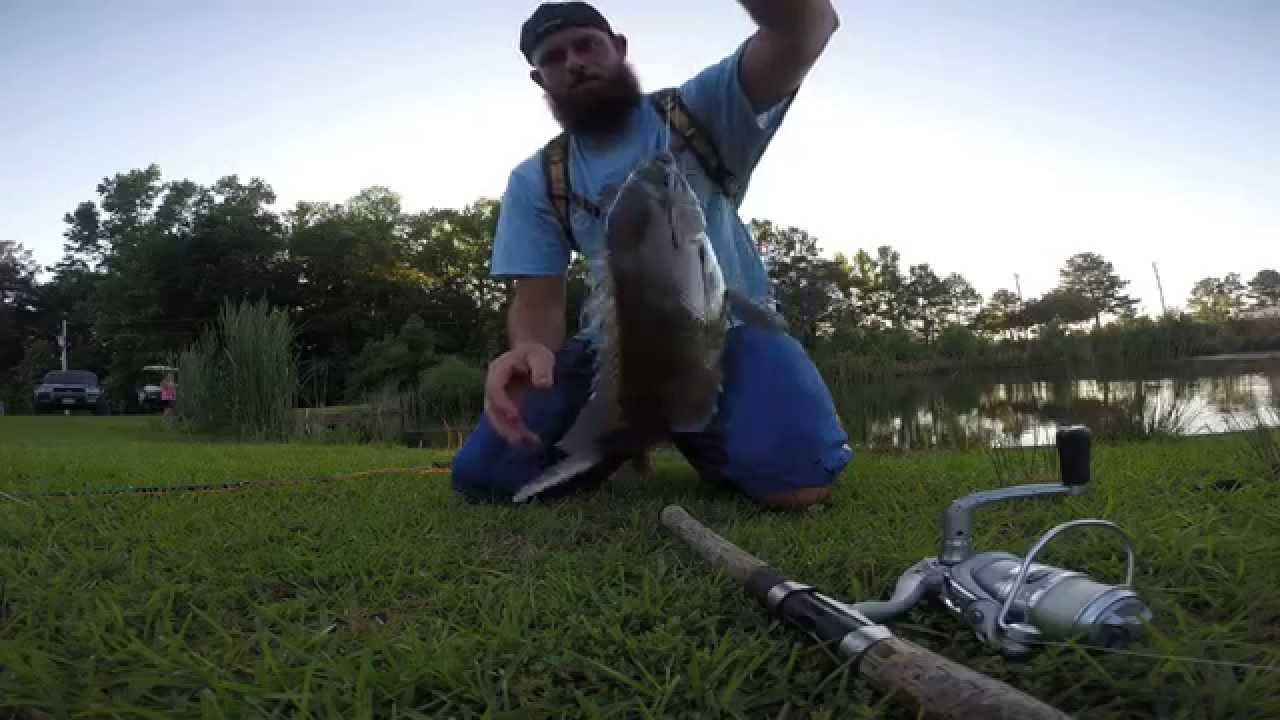 GoPro 3 Hero Fly Fishing For Bream "Part 2" YouTube
