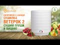 Сушилка Ветерок 2- Проверка возможностей/ГРУШИ/ВИШНИ