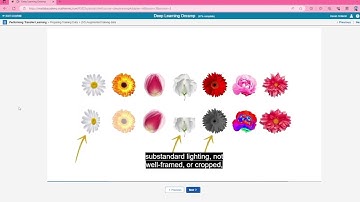 Hasan Ozdemir, Ödevi, Matlab deep learning Onramp, 4-1/2/3/4. transfer öğrenme