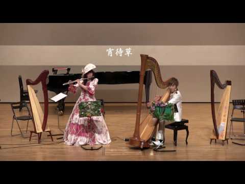 03宵待草＠やすらぎコンサート20170315