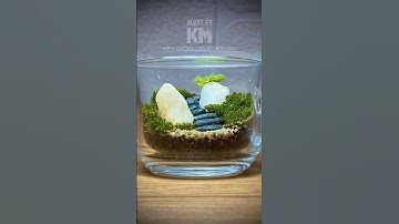 Stunning DIY Moss Terrarium in a Teacup