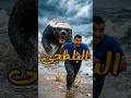 بلطجى الغابة أخطر من الأسد و الكوبرا حيوانات مفترسه الغابة كوبرا 