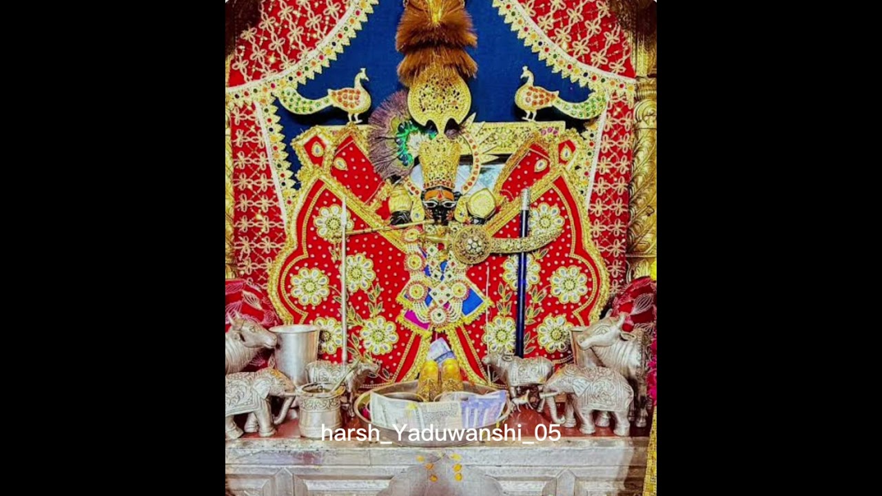 #sanvariyaSeth जो कुछ भी है सवारी सेठ के मारे #harshyaduwanshi 