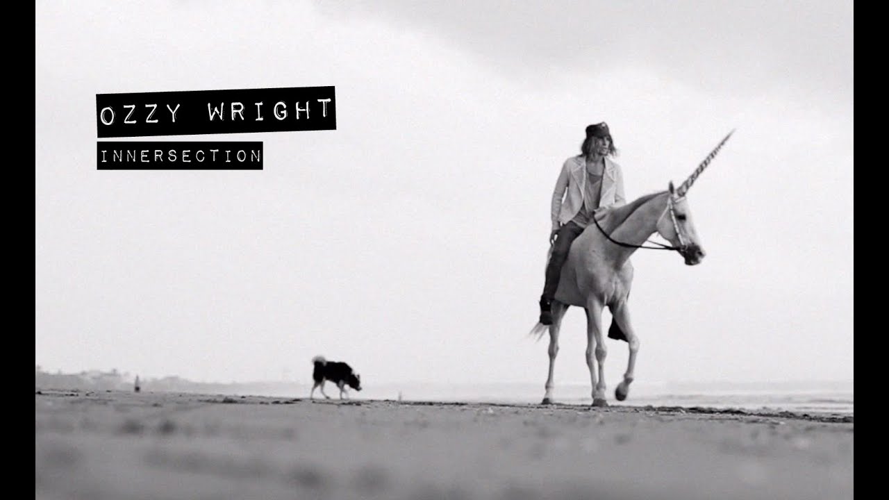 Ozzie Wright in INNERSECTION (The Momentum Files)