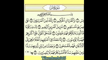 الشيخ صالح احمد صالح _ سورة يس