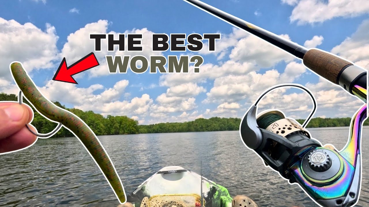They Can’t Resist This WORM! Kayak Bass Fishing