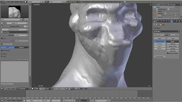 Blender2.57 with Remesh modifier + Blender2.58 Onion branch