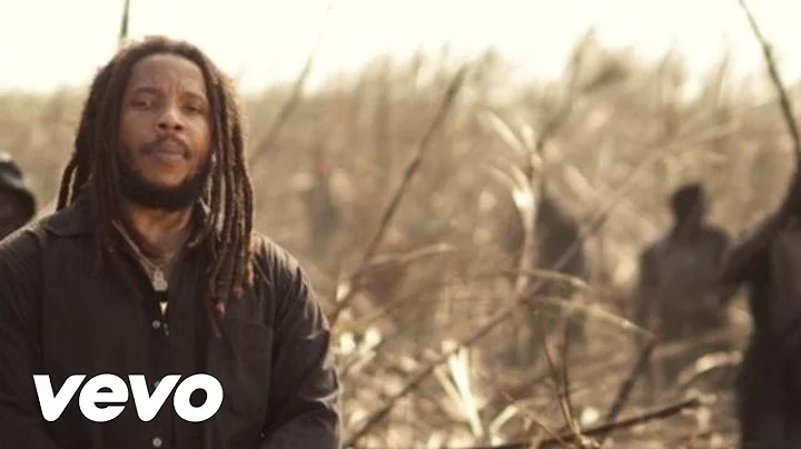 Stephen Marley - Made In Africa ft. Wale, The Cast...