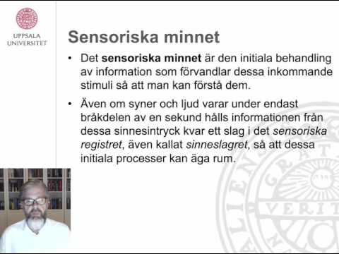 Video: Senil: Glömmer Skada Villkor Och Förstår Kognitiva Förändringar