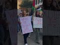 Pro-Palestinian protesters in downtown Raleigh call for cease-fire in Gaza  #shorts