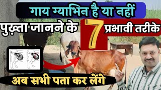 How to find out if a cow is pregnant or not 7 Unique Methods 👉 How to know if a cow is pregnant screenshot 5