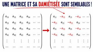 Une matrice et sa matrice signée en damier sont semblables