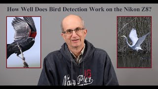How Well Does Bird Detection Work on the Nikon Z8? @julesvuottosphotofocus4696