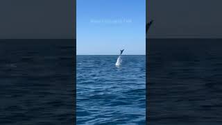 beautiful sea@#@