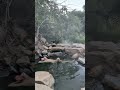 Nature heals!