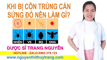 Bị côn trùng cắn sưng đỏ ngứa nên làm gì?