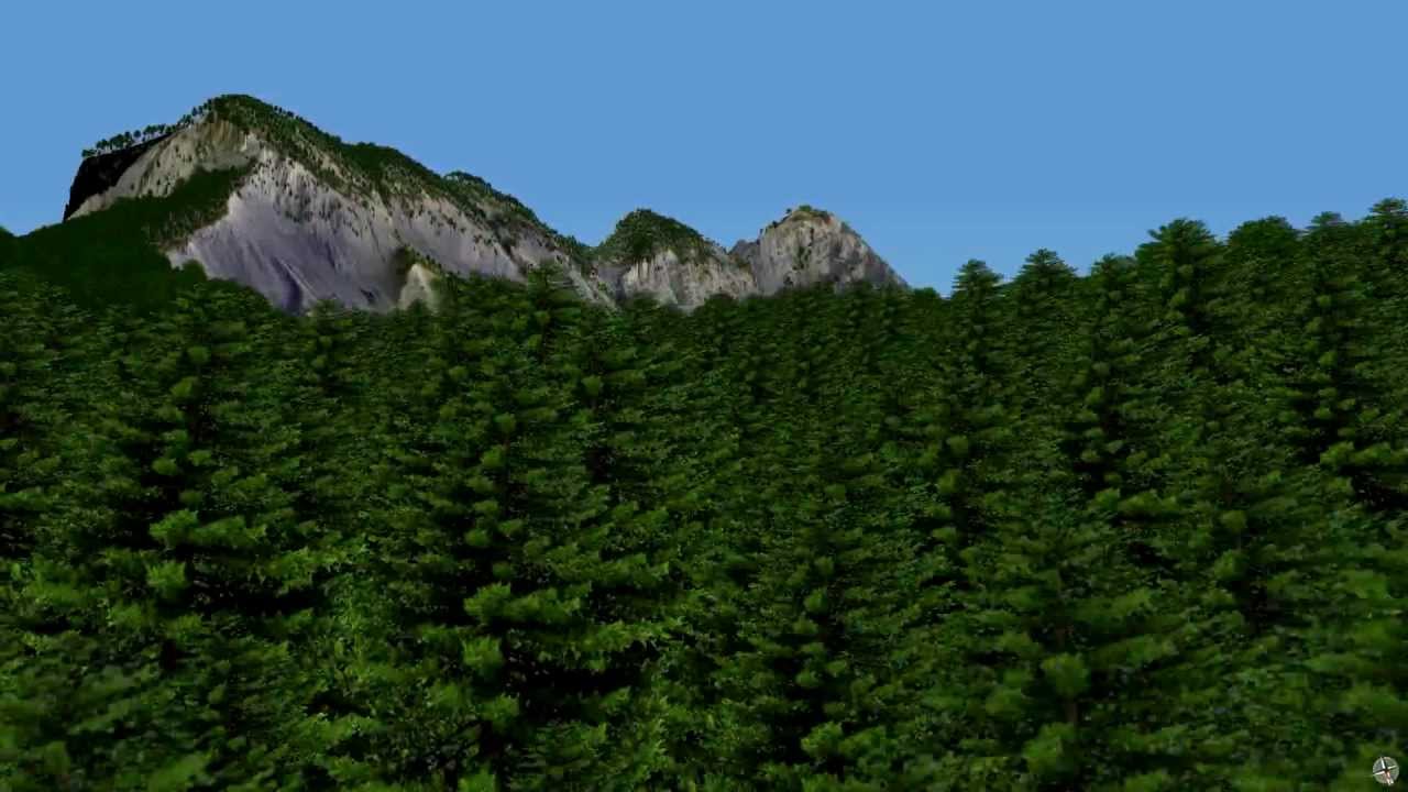 3D model of a real forest from airborne LiDAR