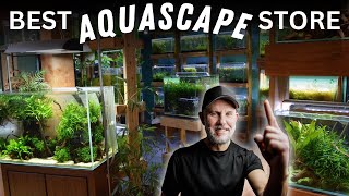 This AQUASCAPING Store BLEW ME AWAY