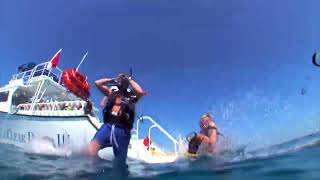 Dive - "Learn to Dive" :15 Second