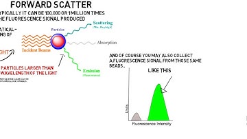 Light scatter Cytorial