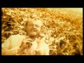 Joe Cocker - The Simple Things (Official Video) HD