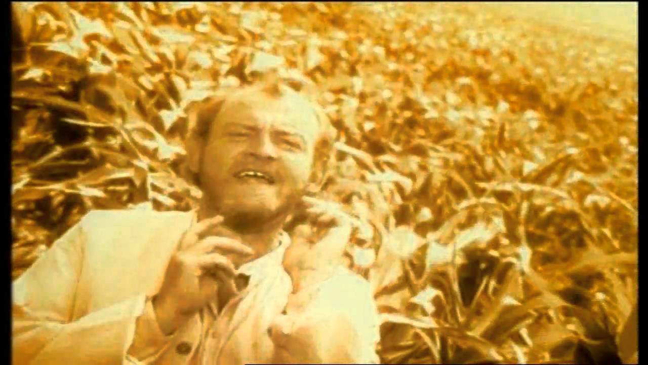 Ver Joe Cocker - The Simple Things (Official Video) HD en YouTube Ver Joe Cocker - The Simple Things (Official Video) HD en YouTube