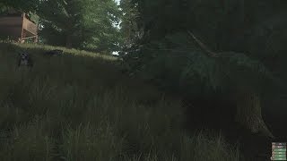 Miscreated - Not a great idea to follow wolves without a weapon
