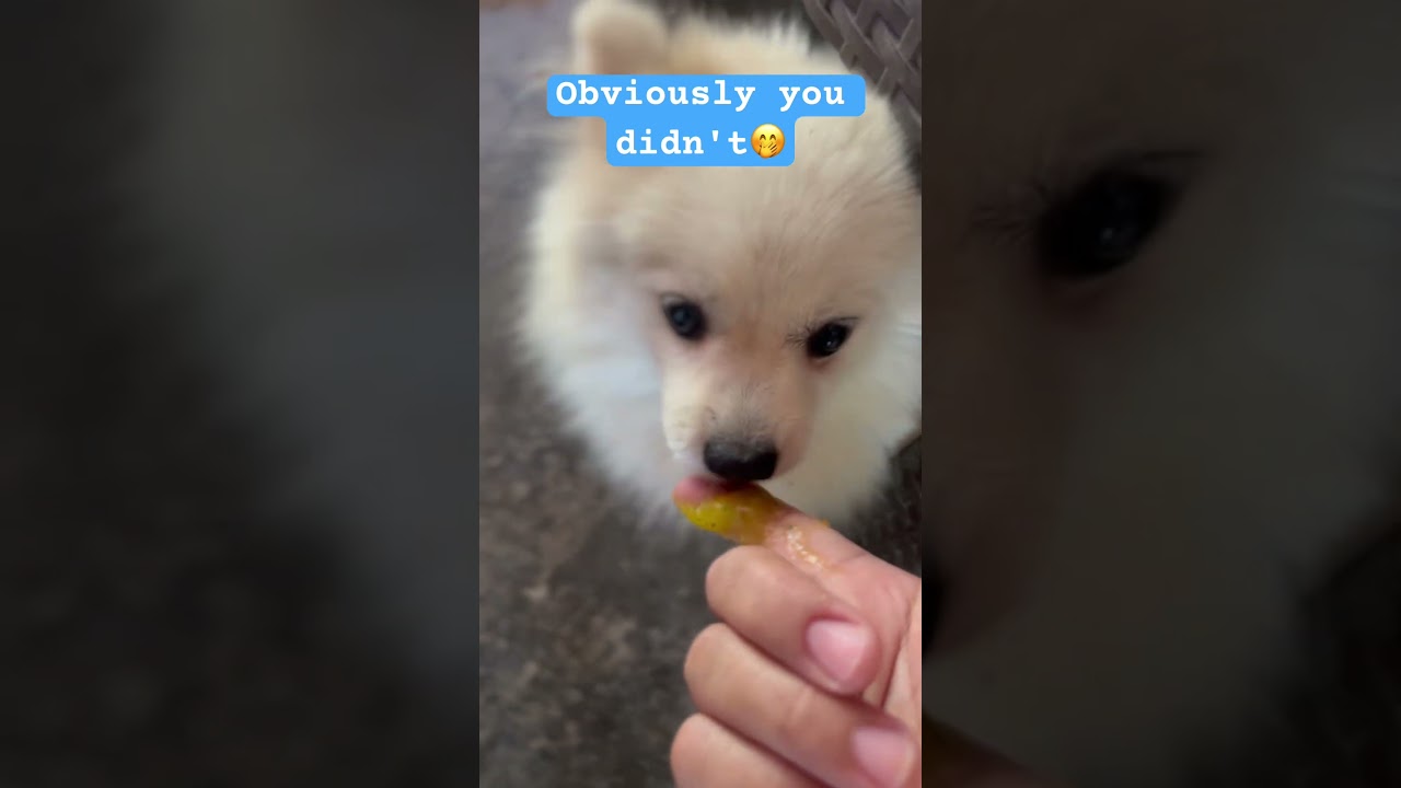 She doesn't even think twice if it's delicious or not😁 