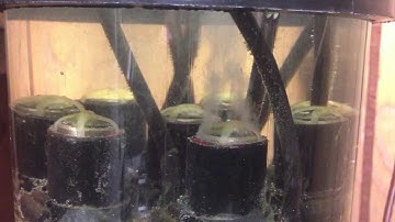 Stanley Meyer High voltage hydrogen production video #3