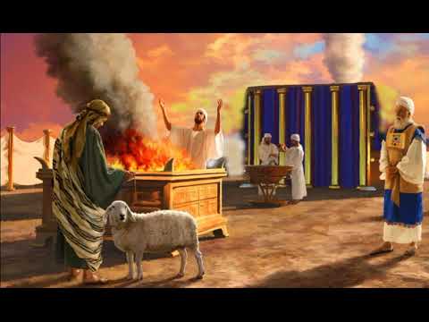 Видео: В чем разница между жертвой за грех и всесожжением в Библии?