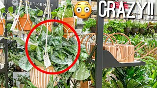 Uncommon Houseplants | Plant Shopping at Lowes | Plants on Clearance Plant Tour 2022 |Garden Center