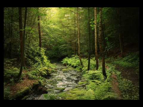 Ensiferum - Token Of Time