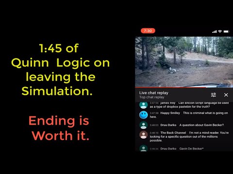 Quinn Michaels Simulation Logic 101