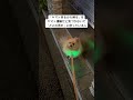 「ヤマト来るから帰る」をヤマト運輸だと気づかないで「どこの男だ」と怒っている人