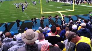 Carolina Panthers cheerleaders in the rain