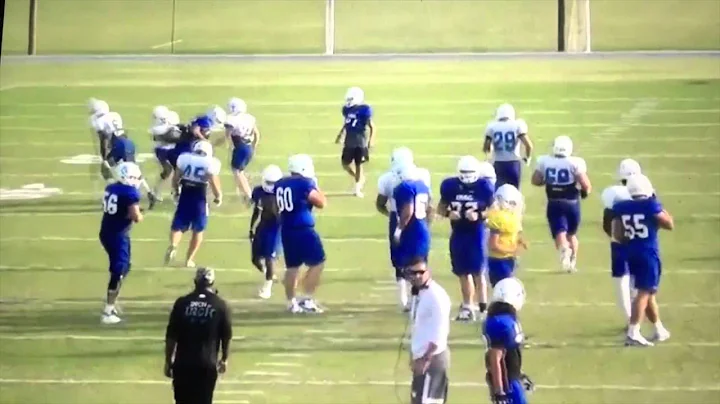 Sean Stauffer IMG Highlights