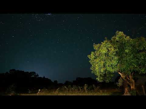 Connect with the Earth  2 HOURS Deeply Relaxing Music for Meditation & Peace