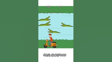 Thief Puzzle 4 Level : 112