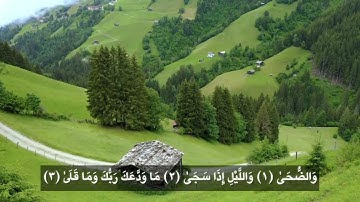 الشيخ نورين محمد صديق سورة الضحى Sheikh | Nourin Mohamed Siddig. Surah Al-Dhau