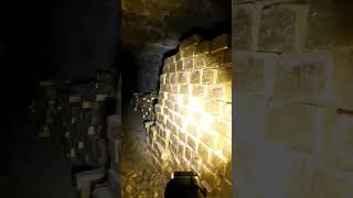 😱 What’s your first reaction? #hiddenwealth #treasurefind #exploration