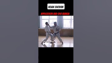 Heian Shodan – Application and Oyo Bunkai. #karate #mma #martialarts