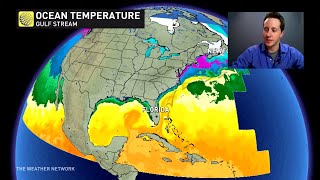 How Ocean Currents and Temperature affect climate and weather -  The Weather Network