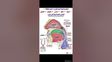 🔅التجويد الميسر-صفات الحروف:1⃣مقدمة+الصفات المتضادة:الجهر ×الهمس:💦المعلمة:ريهام وجيه#مشروع_الأترجة