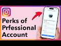 The Secret Perks Of Switching To A Professional Instagram Account