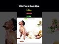 Child’s Pose to Upward Dog Flow | Full Spine Mobility Stretch #homeworkout #shorts #fitness #stretch