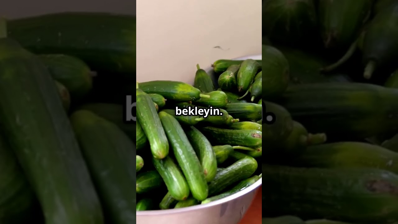 🥒Dolgulu Salatalık Turşusu💚#food #diyet #pratik #yemektarifleri #meze #turşutarifleri #turşu #tarif 🥒Dolgulu Salatalık Turşusu💚#food #diyet #pratik #yemektarifleri #meze #turşutarifleri #turşu #tarif