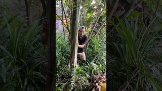 The Snake That Guards The Most Haunted Place shotrs comedy funny