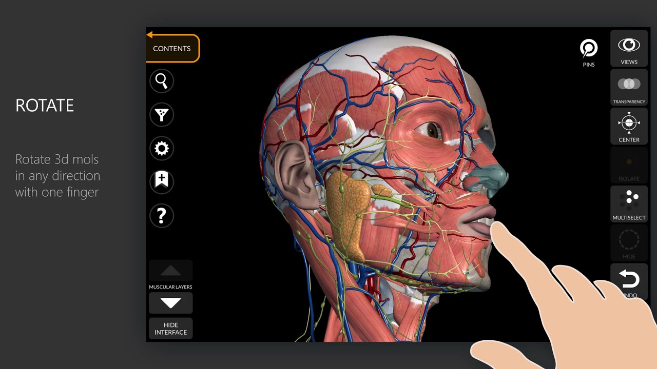 Anatomie humaine 3D – Applications sur Google Play